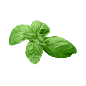 Basil - Coarse Cut
