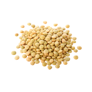 Green Lentils