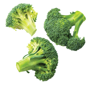 Broccoli Florets - 10-25 mm