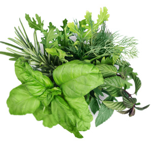 Herbs